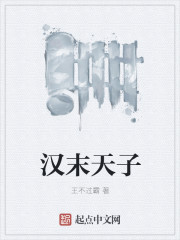 漢末天子小說封面