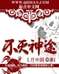 南江十七夏小說封面