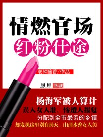 情燃官場：紅粉仕途小說封面